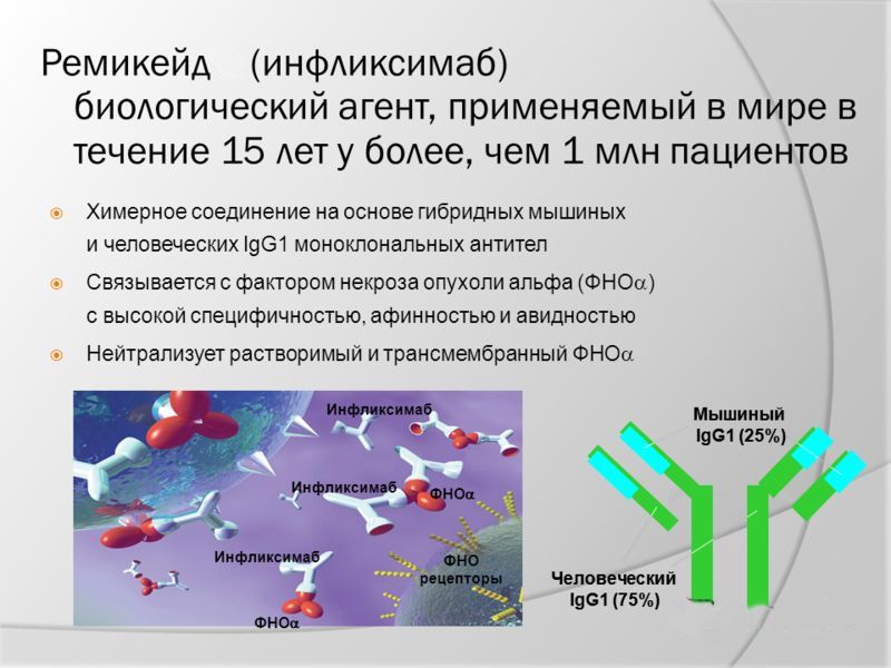 Антитела некроза опухоли. Механизм действия инфликсимаба. Инфликсимаб ремикейд. Схема применения инфликсимаба. Инфликсимаб форма выпуска.